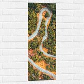 WallClassics - Muursticker - Kronkelweg door Bossen - 30x90 cm Foto op Muursticker
