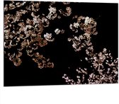 WallClassics - Dibond - Roze Bloesembloemetjes aan Tak in de Nacht - 100x75 cm Foto op Aluminium (Met Ophangsysteem)