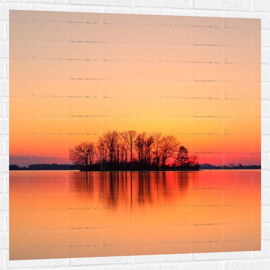 WallClassics - Muursticker - Rode Lucht bij Bomen - 100x100 cm Foto op Muursticker