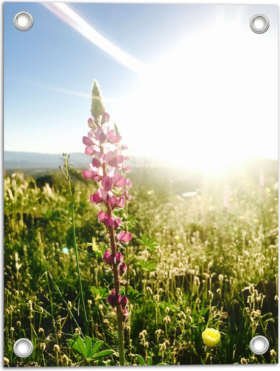 WallClassics - Tuinposter – Roze Bloementak bij Fel Zonlicht en Gras - 30x40 cm Foto op Tuinposter  (wanddecoratie voor buiten en binnen)