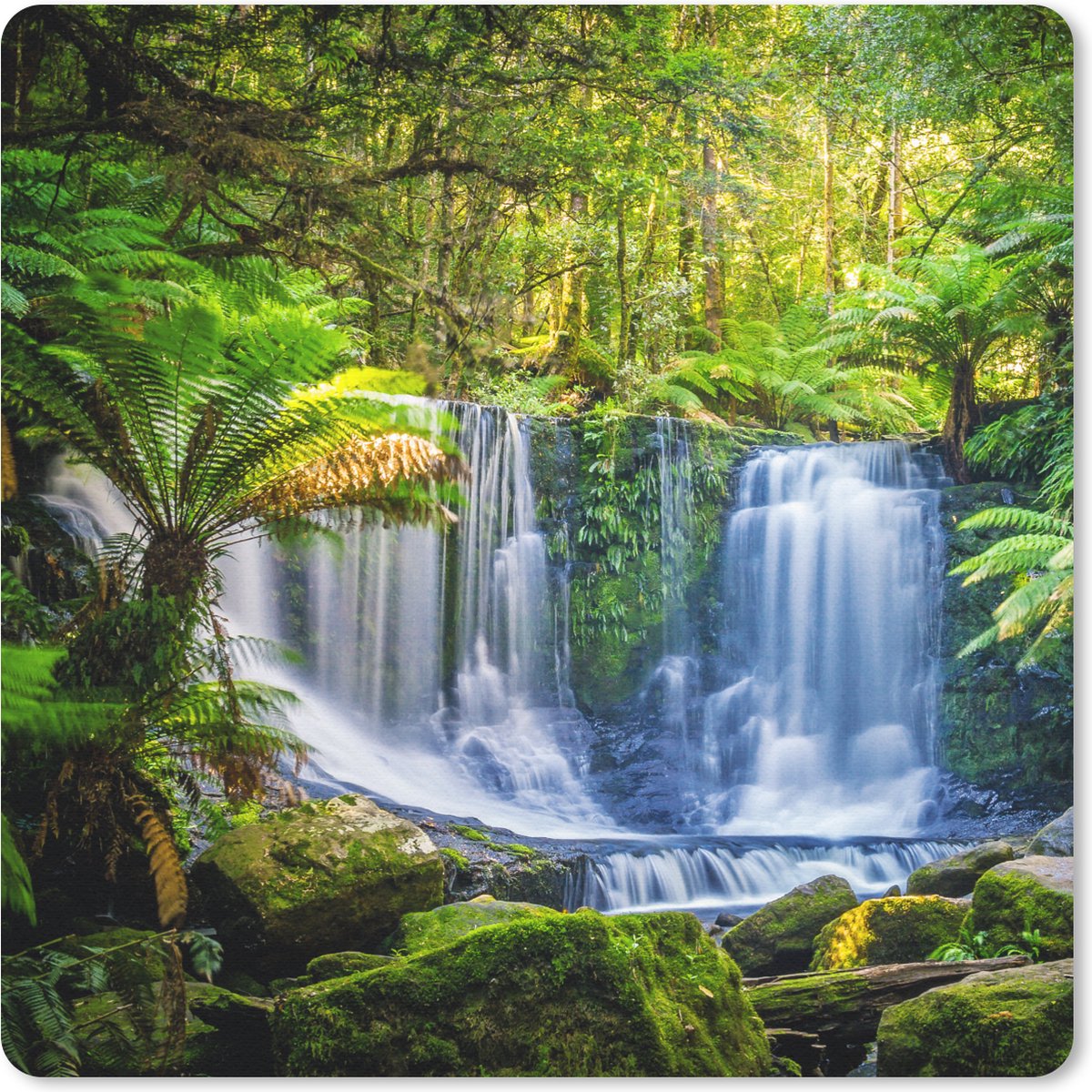 Muismat 20x20 cm - Mousepad Jungle - Waterval - Australië - Planten - Natuur - Muismatten