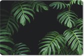 Bureau onderlegger - Muismat - Bureau mat - Jungle - Planten - Monstera - Jongens - Meisjes - Kinderen - 60x40 cm