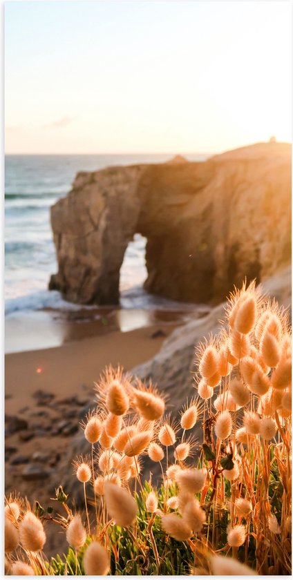 WallClassics - Poster (Mat) - Rots aan het Water net Hazenstaart Planten - 50x100 cm Foto op Posterpapier met een Matte look