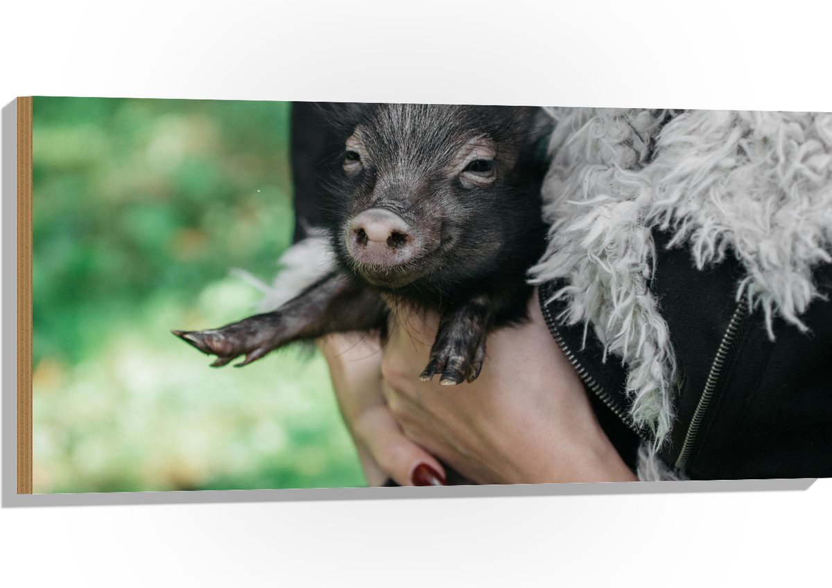 Hout - Zwart Baby Varkentje - 100x50 cm - 12 mm dik - Foto op Hout (Met Ophangsysteem)