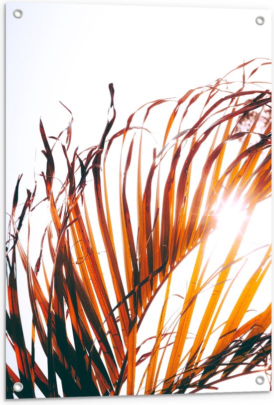 WallClassics - Tuinposter – Bruine Palmbladeren - 60x80 cm Foto op Tuinposter  (wanddecoratie voor buiten en binnen)