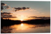 WallClassics - Dibond - Zonsondergang aan Bosrand - 60x40 cm Foto op Aluminium (Wanddecoratie van metaal)