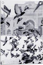 WallClassics - Tuinposter – Vliegende Duiven in de Sneeuw - 40x60 cm Foto op Tuinposter  (wanddecoratie voor buiten en binnen)