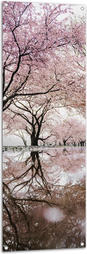 WallClassics - Tuinposter – Prachtige Bloesem Bomen - 50x150 cm Foto op Tuinposter  (wanddecoratie voor buiten en binnen)