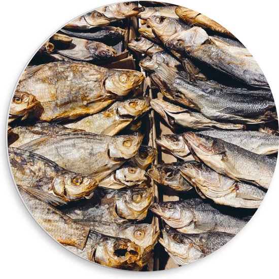 WallClassics - PVC Schuimplaat Muurcirkel - Verse Vissen op een Vismarkt - 50x50 cm Foto op Muurcirkel (met ophangsysteem)