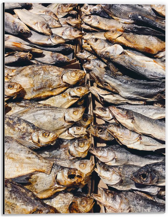 WallClassics - Dibond - Verse Vissen op een Vismarkt - 30x40 cm Foto op Aluminium (Met Ophangsysteem)