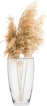 TREND FOR HOME Bloemenvaas, glas, vloervaas, glazen vaas voor bloemen, glazen bloemenvaas, tafelvaas, decoratieve vaas van glas, grote decoratieve vaas, H. 25 cm, Leilani,  ml