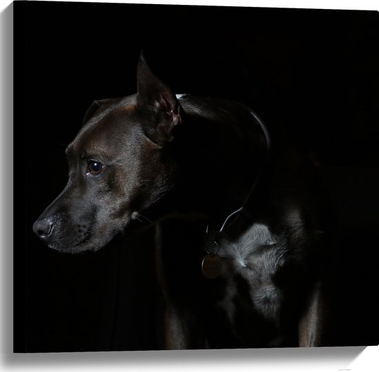 WallClassics - Canvas  - Zwarte Hond met Donkere Achtergrond - 60x60 cm Foto op Canvas Schilderij (Wanddecoratie op Canvas)