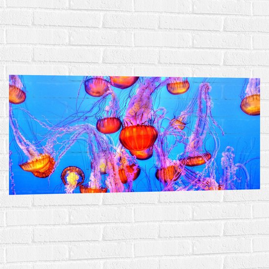WallClassics - Muursticker - Oranje Kwallen in Blauwe Zee - 100x50 cm Foto op Muursticker