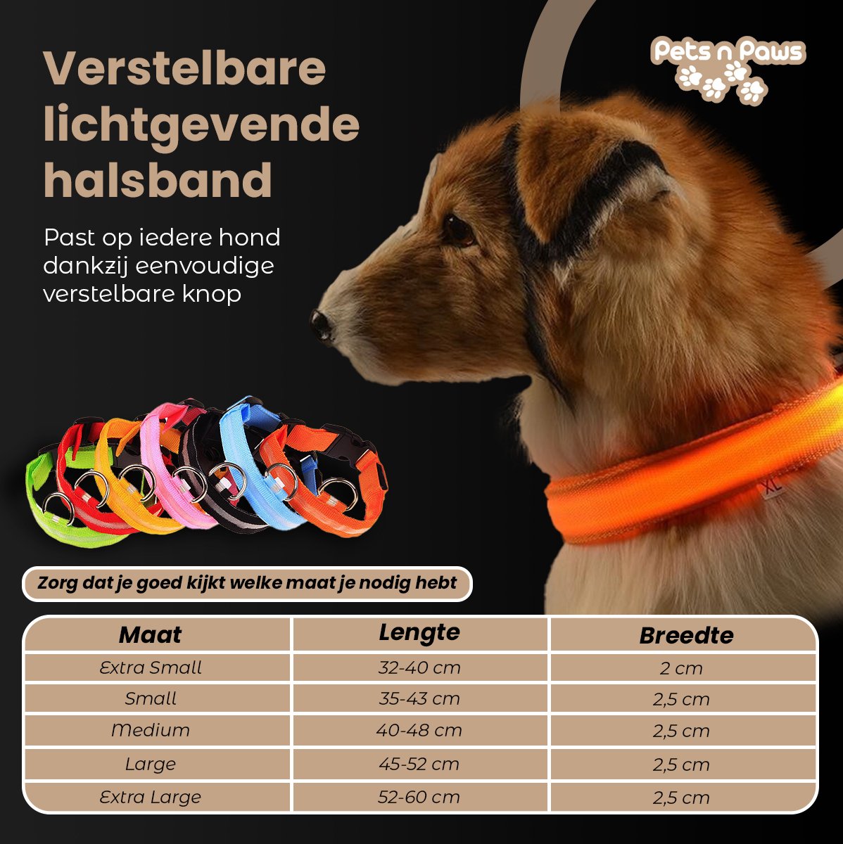 Hondenriem met verlichting kopen? - Nederland - Dat doe je goed