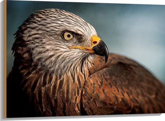 WallClassics - Hout - Roofvogel Wouw - 100x75 cm - 12 mm dik - Foto op Hout (Met Ophangsysteem)