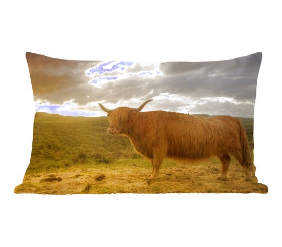 Sierkussen Highlander Cows pour l'intérieur - Highlander pendant le coucher du soleil - 60x40 cm - Coussin intérieur rectangulaire en coton