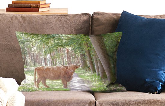 Sierkussen Indoor Forest Life - Highlander écossais sur la route - 60x40 cm - Coussin intérieur rectangulaire en coton