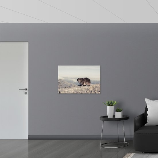 WallClassics - Poster (Matte) - Marmot sur le Mur - 90x60 cm Photo sur Papier Poster avec un aspect Mat