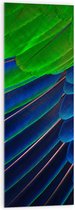 WallClassics - Acrylglas - Prachtige Blauwe en Groene Veren - 40x120 cm Foto op Acrylglas (Met Ophangsysteem)