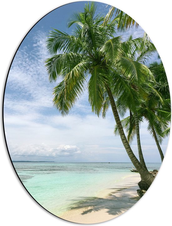 WallClassics - Dibond Ovaal - Groene Palmbomen op Wit Strand - 42x56 cm Foto op Ovaal (Met Ophangsysteem)