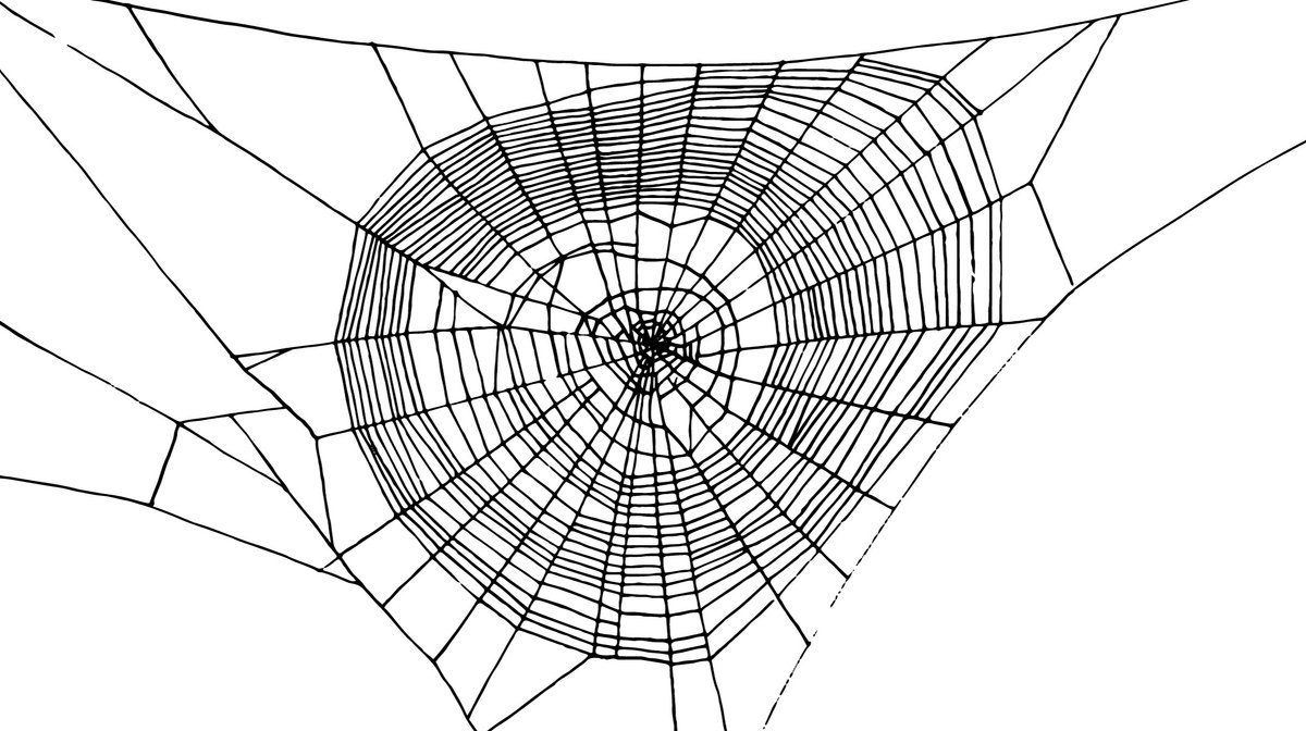 PB-Collection - Premium Tafelzeil Spinnenweb 140x250cm - Halloween - Tafelkleed - Tafelkleden - Herfst - Feestdagen - Picknick - Gezellig - Sfeer - Seizoen - Uniek - Duurzaam - Mooi