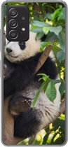 Geschikt voor Samsung galaxy a73 hoesje - Panda - Dier - Boom - Siliconen Telefoonhoesje