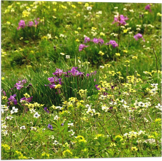 WallClassics - Vlag - Gekleurde Bloemetjes tussen het Groene Gras - 50x50 cm Foto op Polyester Vlag