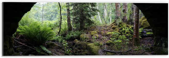 WallClassics - Dibond - Groen In Grot - 60x20 cm Foto op Aluminium (Wanddecoratie van metaal)