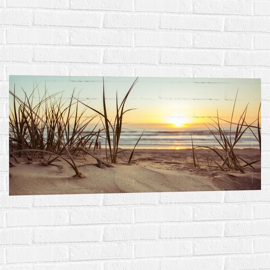 WallClassics - Sticker Muursticker - Herbes dans les Dunes avec Soleil - 100x50 cm Photo sur Sticker Muursticker