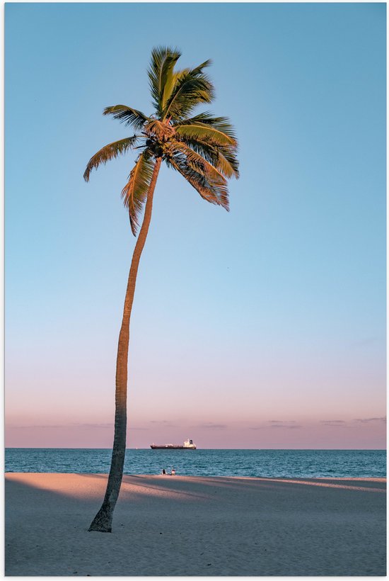 WallClassics - Poster (Matte) - Palmier Solitaire - 100x150 cm Photo sur Papier Poster avec un aspect Mat