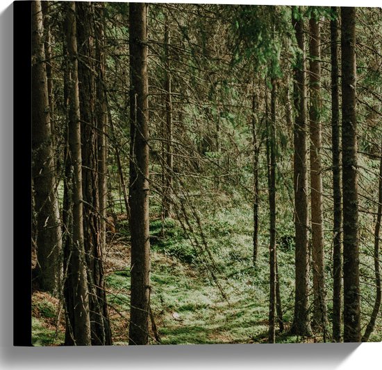 WallClassics - Canvas  - Groene Bladeren op de Grond van Bomen - 40x40 cm Foto op Canvas Schilderij (Wanddecoratie op Canvas)