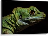 WallClassics - Canvas  - Groen Reptiel met Zwarte Achtergrond - 100x75 cm Foto op Canvas Schilderij (Wanddecoratie op Canvas)