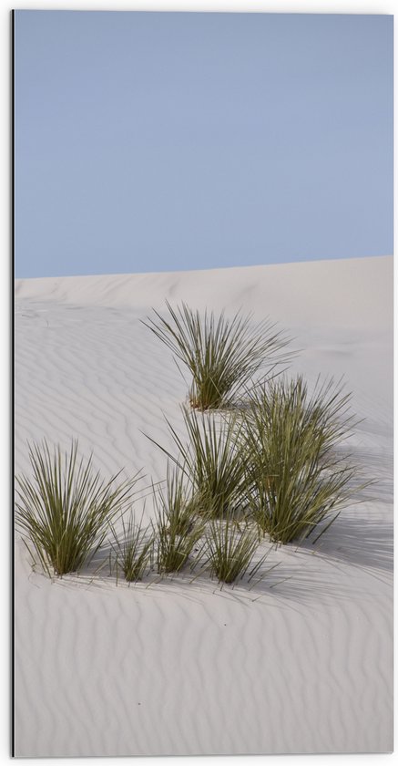 WallClassics - Dibond - Grassen in het Zand in Duinen - 50x100 cm Foto op Aluminium (Wanddecoratie van metaal)