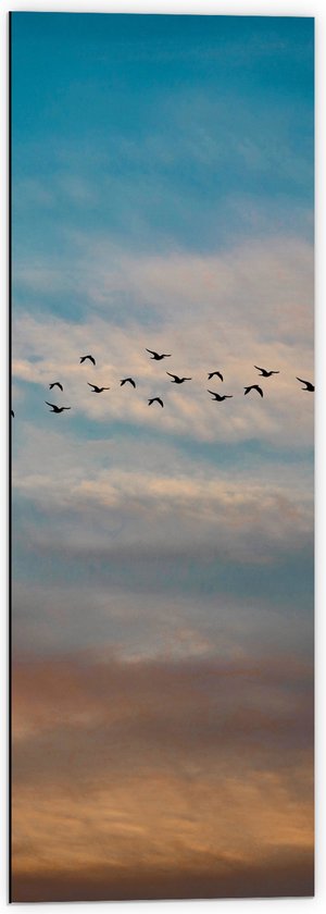 WallClassics - Dibond - Groep Vliegende Vogels - 40x120 cm Foto op Aluminium (Wanddecoratie van metaal)