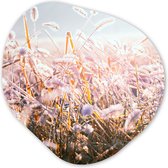 Organische Wanddecoratie - Kunststof Muurdecoratie- Organisch Schilderij - Gras - Zon - Winter - Sneeuw- 90x90 cm - Organische spiegel vorm op kunststof