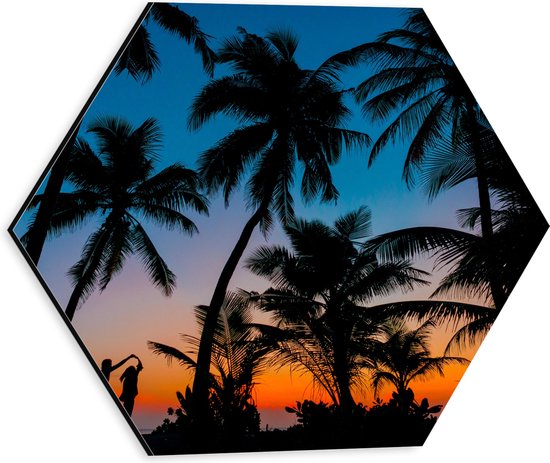 WallClassics - Dibond Hexagon - Silhouette van Palmbomen op een Tropisch Strand - 30x26.1 cm Foto op Hexagon (Met Ophangsysteem)