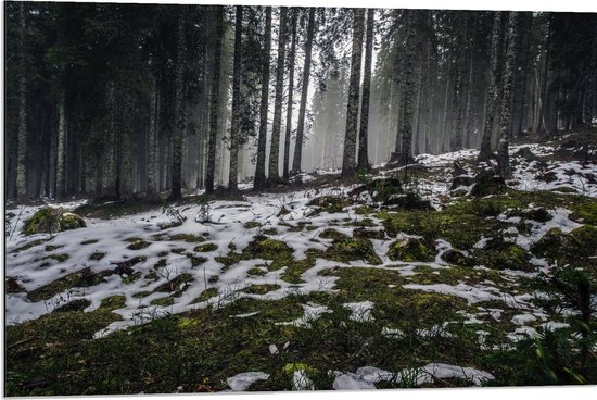 WallClassics - Dibond - Smalle Bomen in Bos met Kleine Beetjes Sneeuw - 90x60 cm Foto op Aluminium (Met Ophangsysteem)