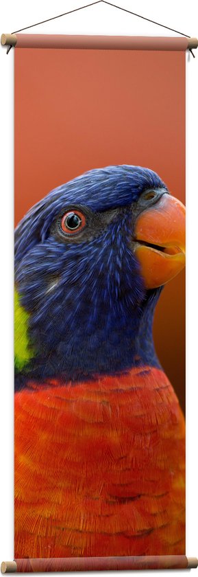 WallClassics - Textielposter - Hoofd van Kleurrijke Loriini Vogel - 40x120 cm Foto op Textiel