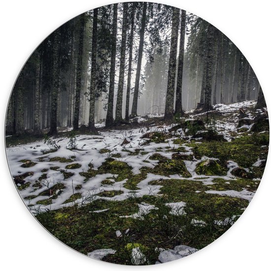 WallClassics - Dibond Muurcirkel - Smalle Bomen in Bos met Kleine Beetjes Sneeuw - 100x100 cm Foto op Aluminium Muurcirkel (met ophangsysteem)