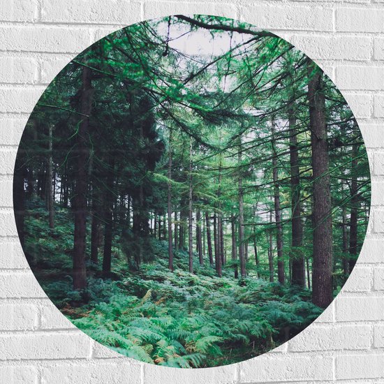 WallClassics - Muursticker Cercle - Forêt Dense - 90x90 cm Photo sur Muursticker