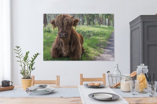 Tableau sur Toile Scottish Highlander - Crapaud - Animaux - 120x80 cm - Décoration murale