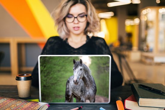 Sticker pour ordinateur portable - 12,3 pouces - Cheval - Forêt - Portrait