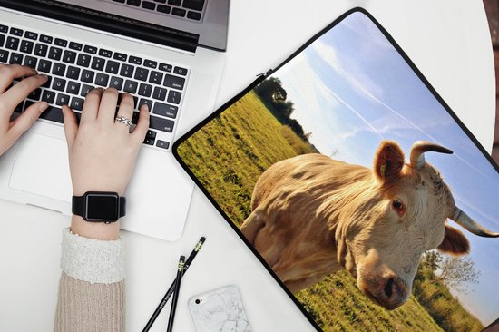 Housse ordinateur portable 17 pouces 41x32 cm - Vaches - Housse Macbook & Laptop Cow in nature - Housse ordinateur portable avec photo