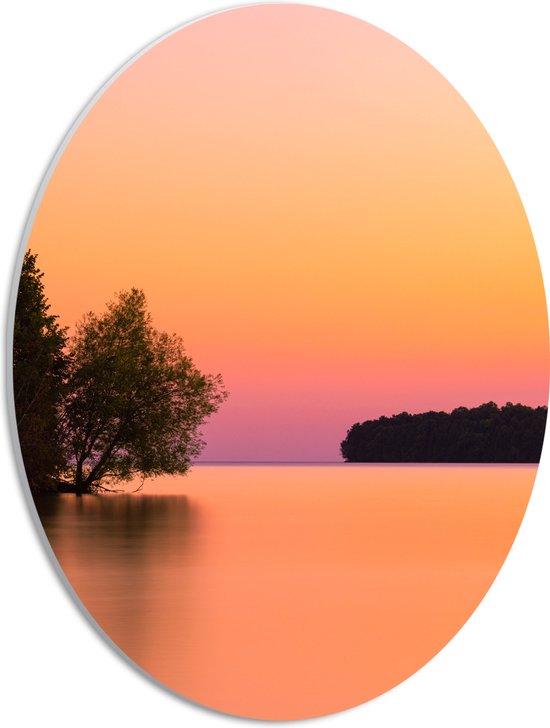 WallClassics - PVC Schuimplaat Ovaal - Boom over Water bij Oranje/Roze Lucht - 30x40 cm Foto op Ovaal  (Met Ophangsysteem)