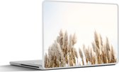 Laptop sticker - 17.3 inch - Graan - Lucht - Pastel - 40x30cm - Laptopstickers - Laptop skin - Cover