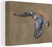 Canvas Schilderij Valk - Veren - Vleugels - 40x30 cm - Wanddecoratie