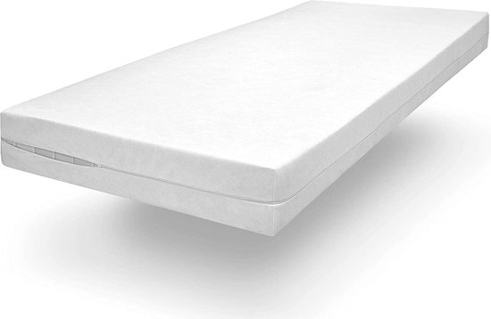 sleepling Comfort 100 - Set di 2 federe Evolon Encasing, rivestimento antiacaro, antiacaro, anallergiche alla polvere, lavabili a 95 gradi, made in Germany, 50 x 50 cm, colore: Bianco