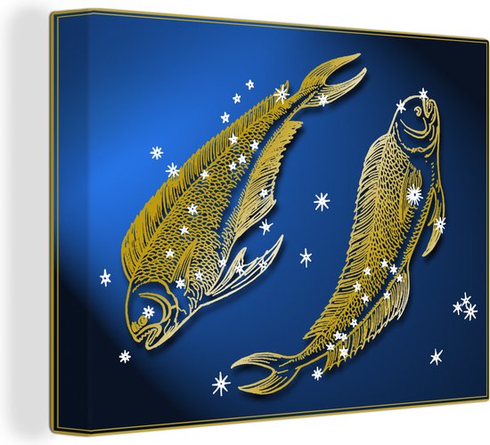 Une constellation d'un poisson 80x60 cm - Tirage photo sur toile (Décoration murale salon / chambre)