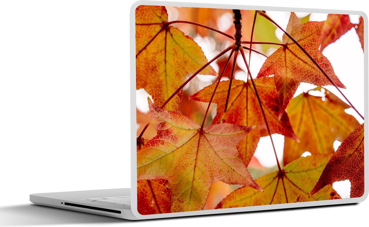 Laptop sticker - 17.3 inch - Herfsttakken - Bladeren - Seizoenen - Landelijk - 40x30cm - Laptopstickers - Laptop skin - Cover