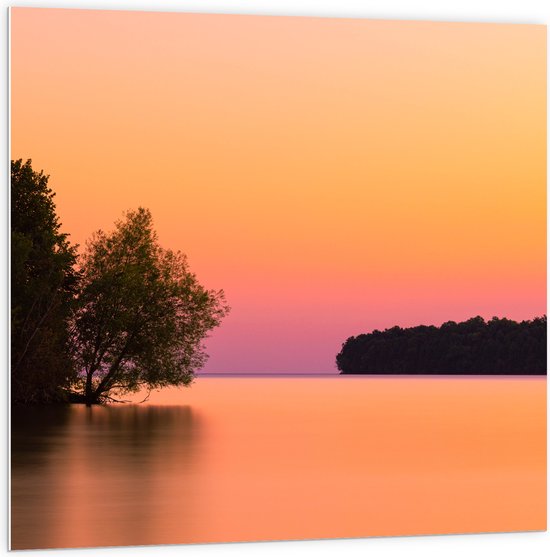 WallClassics - PVC Schuimplaat - Boom over Water bij Oranje/Roze Lucht - 100x100 cm Foto op PVC Schuimplaat (Met Ophangsysteem)